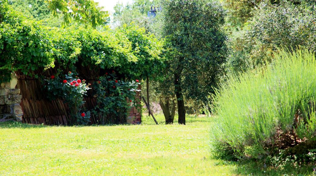 Agriturismo Podere Luchiano Amelia Exterior foto